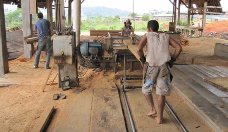 Wir erhalten einen Einblick in ein brasilianisches Sägewerk. Die Menschen auf dem Land leben von der Arbeit im Dorf, da sie ansonsten zur Arbeit in die Großstadt gehen müssten. Abfallholz aus dem Sägewerk wird zum Heizen bzw. Kochen benötigt.