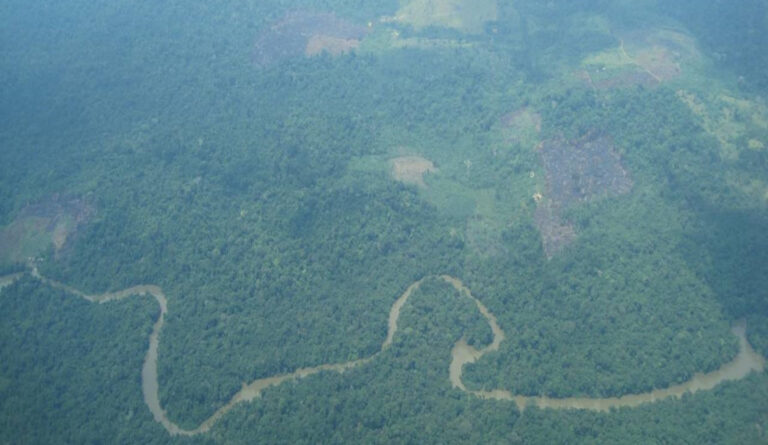 Ebenso konnte ich aber auch viele Stellen erkennen, an denen Brandrodungen erfolgt sind. Hierbei wird der Wald gerodet um für Sojaplantagen, Tierherden und die Gewinnung von Palmöl Platz zu schaffen.
