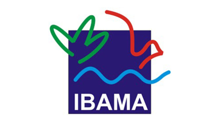 Die „IBAMA“ ist die staatliche brasilianische Umweltbehörde, die die legale Bewirtschaftung und Gewinnung des Holzes überwacht, und somit eine forstwirtschaftliche Regeneration gewährleistet. Was das heißt? Die Nutzung muss die Eigenschaften der einheimischen Bäume, das Volumen und die Verteilung der Artenvielfalt in jeder Region berücksichtigen. Diese Maßnahmen bewirken insgesamt eine natürliche Regeneration. Dies erfolgt mit Hilfe von Katastern.