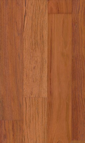 Jatoba