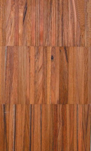 Teak