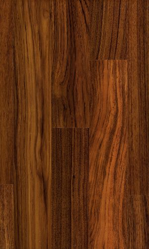 Teak